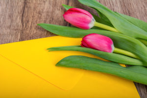Envelope and tulip on a wooden table