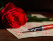 Red rose and an ink pen on a handwritten letter