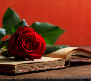 Red rose on a vintage book on dark background
