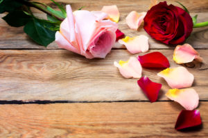 Valentine's Day background with pink and red roses