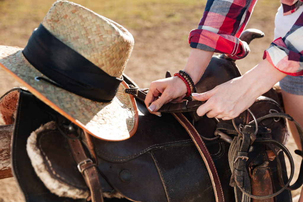 Closeup of saddle