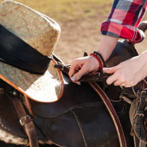 Closeup of saddle